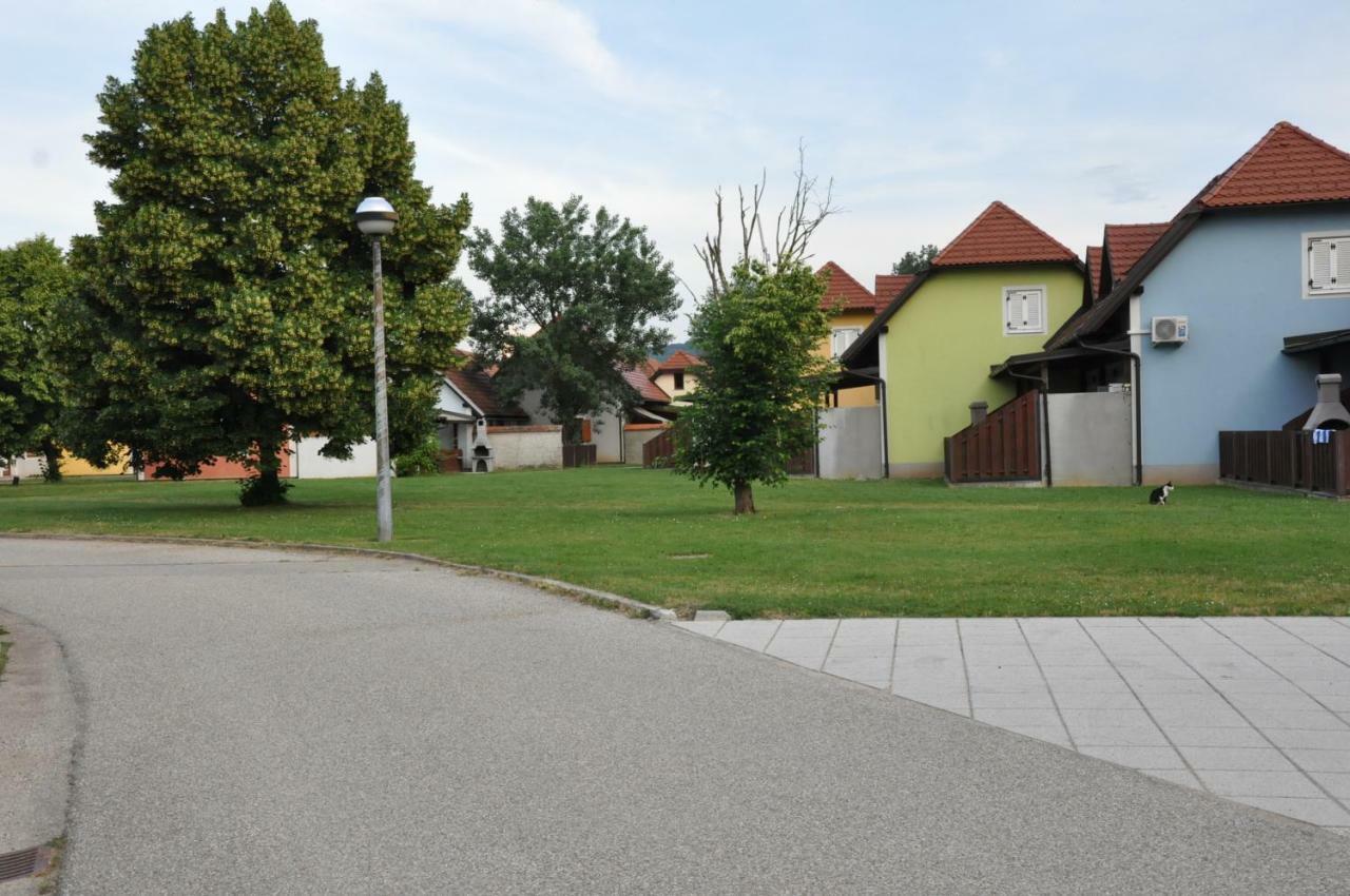 Villa Apartma Marija Hiska 79 à Catez ob Savi Extérieur photo