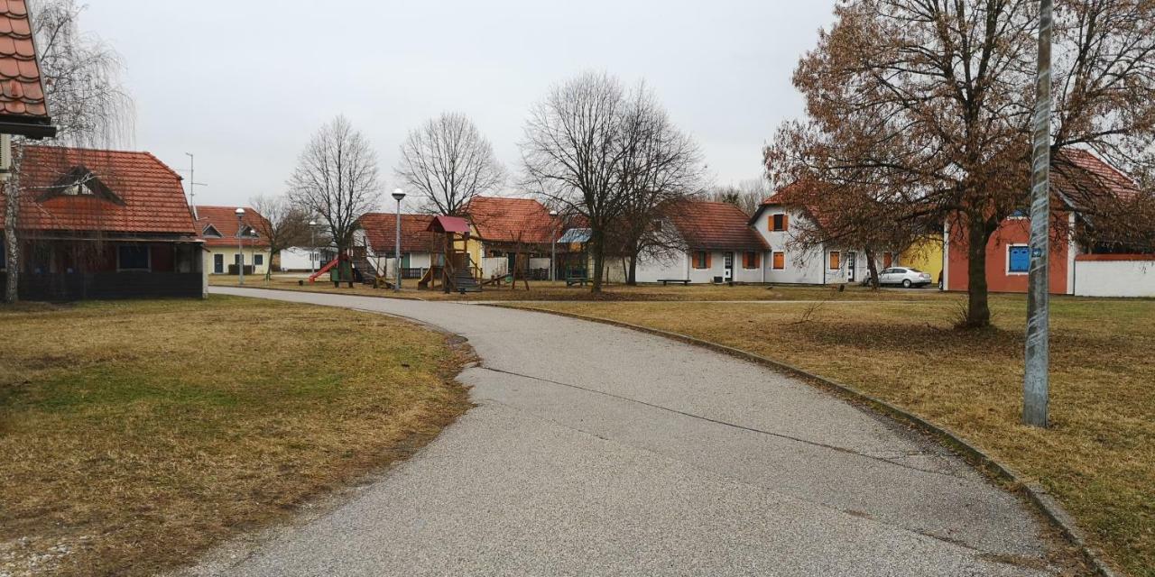 Villa Apartma Marija Hiska 79 à Catez ob Savi Extérieur photo